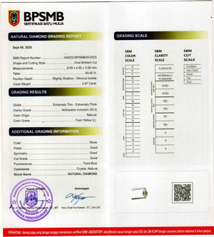 Custom Oval Diamond Ring in Gold