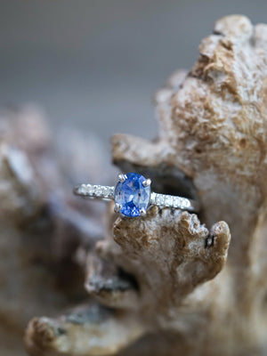 Bicolor Blue Sapphire Ring in White Gold - Ethical Jewelry | Gardens of the Sun