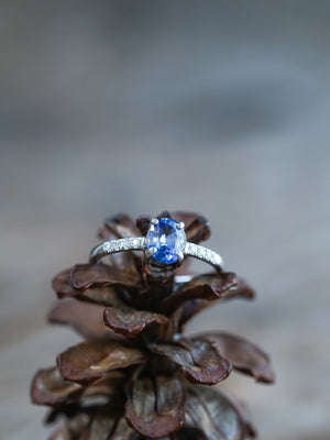 Bicolor Blue Sapphire Ring in White Gold - Ethical Jewelry | Gardens of the Sun