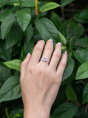 Bicolor Blue Sapphire Ring in White Gold - Size 6.75