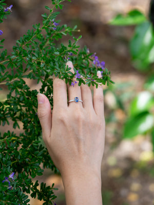 Bicolor Blue Sapphire Ring in White Gold - Size 6.75 - Gardens of the Sun | Ethical Jewelry