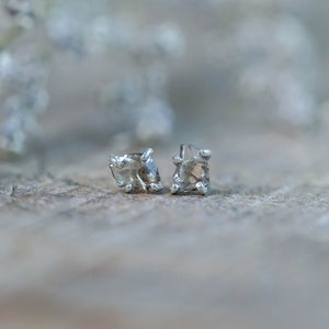 Brown Diamond Earrings in Sterling Silver