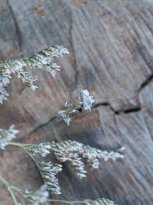 Brown Diamond Stud Earrings in Silver
