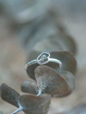 Dino-Mite Diamond Band Ring in Silver