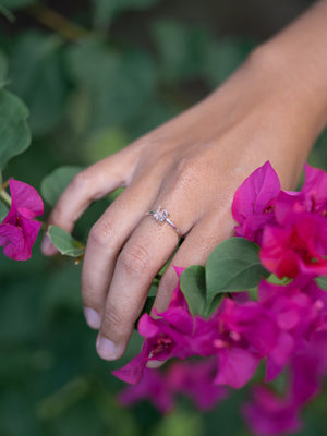 Kalimantan White Sapphire Ring - Gardens of the Sun | Ethical Jewelry