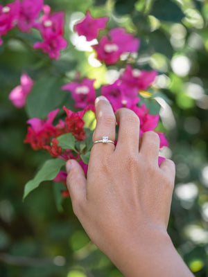 Split Prong Zircon Ring - Gardens of the Sun | Ethical Jewelry