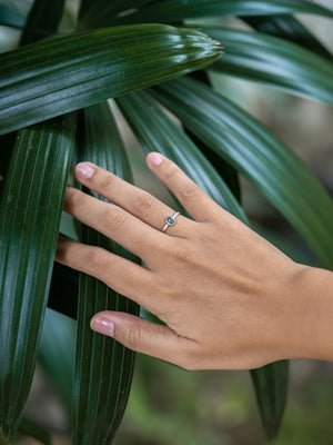 Stardust Montana Sapphire Ring - Gardens of the Sun | Ethical Jewelry