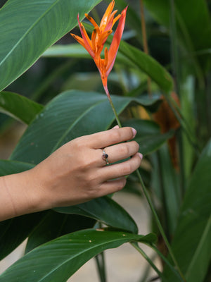 Watermelon Tourmaline Ring - Gardens of the Sun | Ethical Jewelry