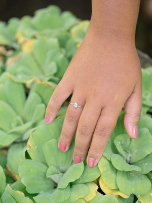 Hexagon Gray Diamond Ring in Silver - Gardens of the Sun | Ethical Jewelry