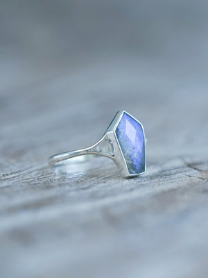 Labradorite Coffin Ring - Gardens of the Sun | Ethical Jewelry