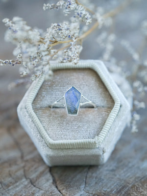 Labradorite Coffin Ring - Gardens of the Sun | Ethical Jewelry