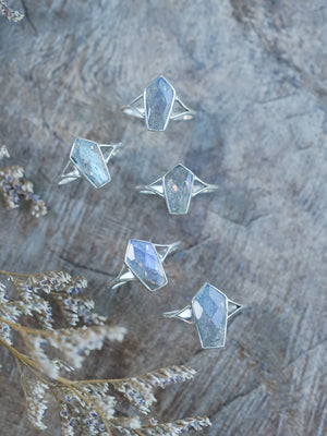 Labradorite Coffin Ring - Gardens of the Sun | Ethical Jewelry