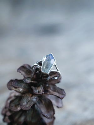 Labradorite Coffin Ring - Gardens of the Sun | Ethical Jewelry