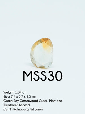 Custom Rose Cut Montana Sapphire Ring in Silver