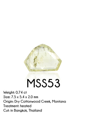 Custom Rose Cut Montana Sapphire Ring in Silver