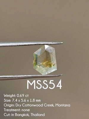 Custom Rose Cut Montana Sapphire Ring in Silver