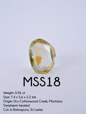 Custom Rose Cut Montana Sapphire Ring in Silver