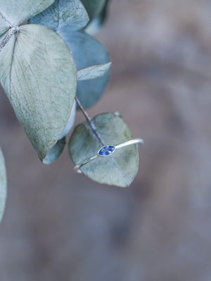 Marquise Montana Sapphire Ring - Gardens of the Sun | Ethical Jewelry