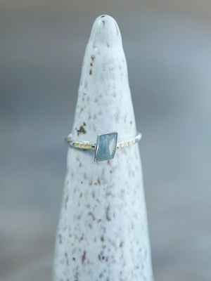 Montana Sapphire Ring in Silver