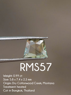 Custom Rose Cut Montana Sapphire Ring in Gold