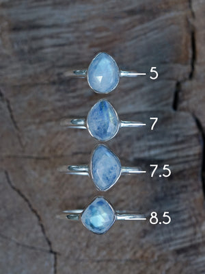 Rose Cut Moonstone Ring in Silver