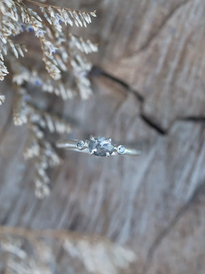 Salt and Pepper Diamond Ring in Silver - Gardens of the Sun | Ethical Jewelry