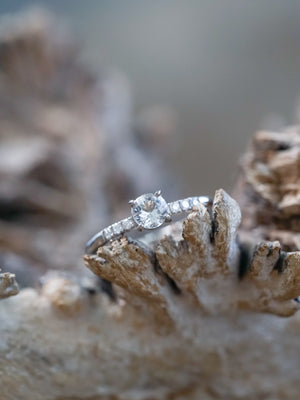 White Sapphire Ring in White Gold - Gardens of the Sun | Ethical Jewelry