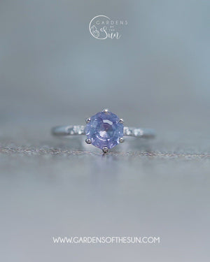 Lavender Sapphire Ring in White Gold - Size 7.5