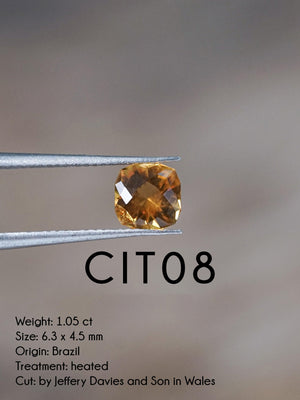 Custom Citrine Ring in Gold - Gardens of the Sun | Ethical Jewelry