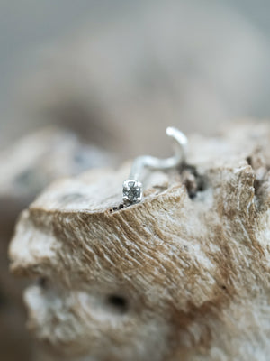 Salt and Pepper Tragus Stud Earring - Gardens of the Sun | Ethical Jewelry
