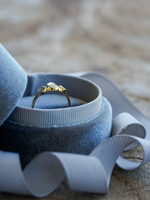 Velvet Ring Box with Ribbon - Gardens of the Sun Jewelry