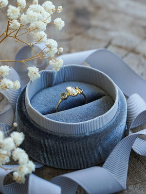 Velvet Ring Box with Ribbon - Gardens of the Sun Jewelry