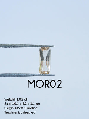 Custom Morganite Ring in Gold - Gardens of the Sun | Ethical Jewelry