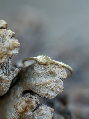 Dainty Signet Ring - Gardens of the Sun | Ethical Jewelry