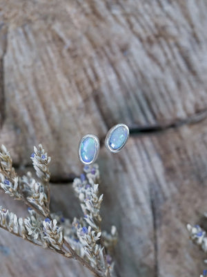 Pride Earrings - Pride Jewelry Collection