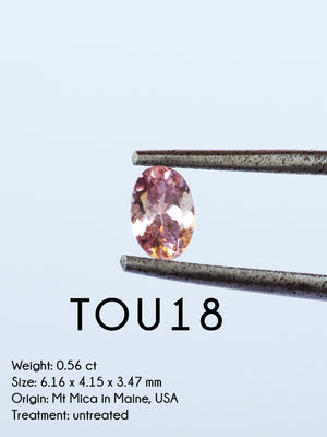 Custom Tourmaline Ring in Gold - Gardens of the Sun | Ethical Jewelry