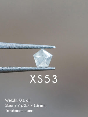 Custom Small Diamond Ring in Silver - Gardens of the Sun | Ethical Jewelry