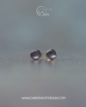 Yogo Sapphire Earrings in Ethical Gold
