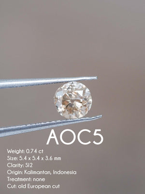 Custom Antique Cut Diamond Ring in Gold - Gardens of the Sun | Ethical Jewelry