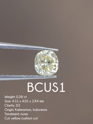 Custom Cushion Brilliant Cut Diamond Ring - Gardens of the Sun | Ethical Jewelry