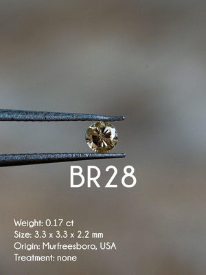 Custom Round Diamond Ring - Gardens of the Sun | Ethical Jewelry