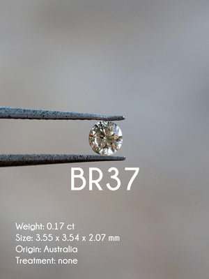 Custom Round Diamond Ring - Gardens of the Sun | Ethical Jewelry