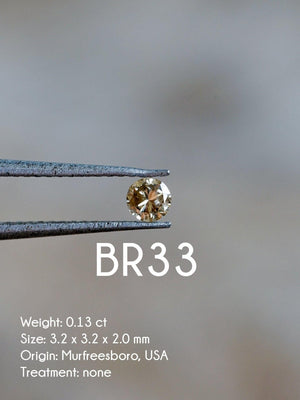 Custom Round Diamond Ring - Gardens of the Sun | Ethical Jewelry