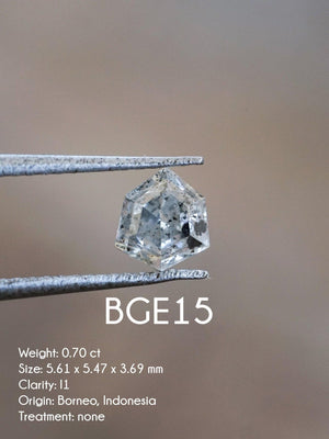 Custom Shield Diamond Ring - Gardens of the Sun | Ethical Jewelry