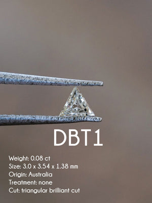 Custom Triangle Diamond Ring - Gardens of the Sun | Ethical Jewelry