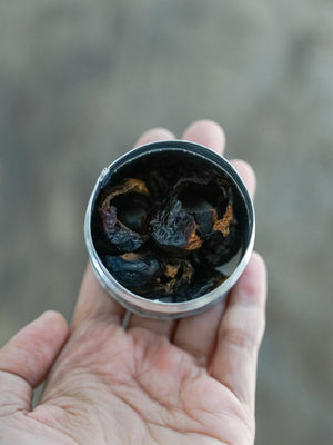 Eco Friendly Jewelry Cleaning Kit - Luxury Version - Gardens of the Sun | Ethical Jewelry