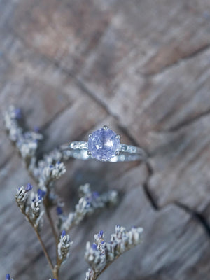 Lavender Sapphire Ring in White Gold - Gardens of the Sun | Ethical Jewelry
