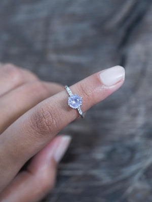 Lavender Sapphire Ring in White Gold - Gardens of the Sun | Ethical Jewelry