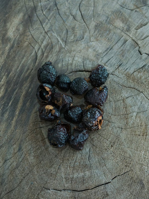 Soap Nuts in Tin - Gardens of the Sun | Ethical Jewelry