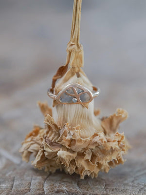 Tree of Life Diamond Slice Ring in Ethical Rose Gold - Gardens of the Sun | Ethical Jewelry